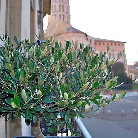 Hotel St Sernin Tuluza